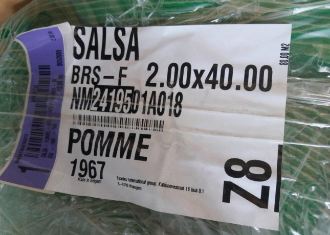 80m2-metrazny-koberec-salsa-pomme-1967-big-1