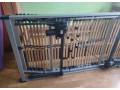 predam-elektricky-polohovatelny-rostmatrac-small-4