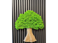 machovy-strom-65x60-cm-small-0