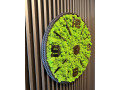 machove-hodiny-60-cm-small-2