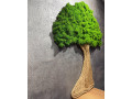 machovy-strom-110x90-cm-small-3