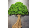 machovy-strom-110x90-cm-small-1