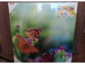 nove-obrazy-na-platno-50x50-cm-iba-osobny-odber-small-0