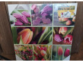 nove-obrazy-na-platno-50x50-cm-iba-osobny-odber-small-1