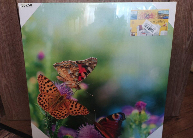 nove-obrazy-na-platno-50x50-cm-iba-osobny-odber-big-0