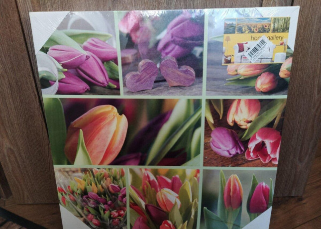 nove-obrazy-na-platno-50x50-cm-iba-osobny-odber-big-1