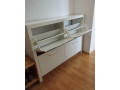 biely-botnik-small-1