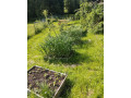 prodej-rodinneho-domu-small-3