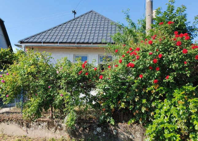 predam-rozpravkovy-domcek-big-1