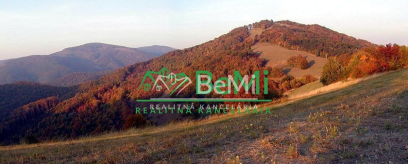 predaj-krasnej-rekreacnej-chaty-priamo-na-lyziarskom-svahu-big-4