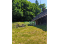 dom-chalupa-zakopcie-okres-cadca-1207m2-183-12-pemoa-small-4