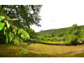 na-predaj-carovna-zahrada-s-murovanou-chatou-kosice-cermel-small-1
