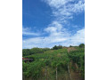 na-predaj-dva-vinicne-domceky-strekov-small-3