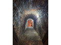 vinohrad-vinicny-domcek-strekov-small-3