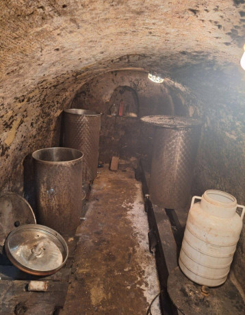 vinohrad-vinicny-domcek-strekov-big-4