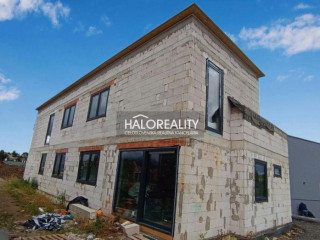 halo-reality