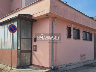 halo-reality