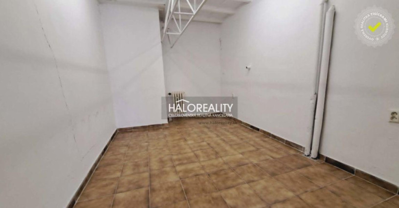 halo-reality-big-4