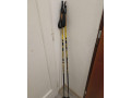 bezecke-palice-sulov-master-120-cm-small-0