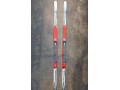 bezky-fischer-nordic-cruising-small-0