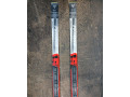 bezky-fischer-nordic-cruising-small-2