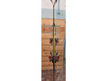 lyze-180cm-small-0