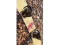 snowboard-nidecker-salamon-topanky-small-1