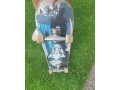 predam-skateboard-small-0