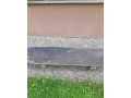 predam-skateboard-small-1