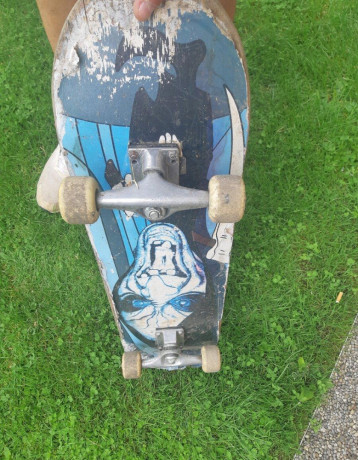 predam-skateboard-big-0