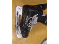 korcule-bauer-supreme-m5-pro-small-2