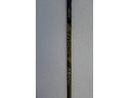 ccm-as-v-pro-small-1
