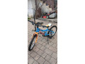 bicykel-5-rocne-dieta-small-2