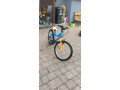 bicykel-5-rocne-dieta-small-0