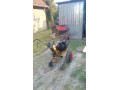 traktor-small-1