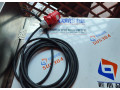 cistic-ryb-small-3