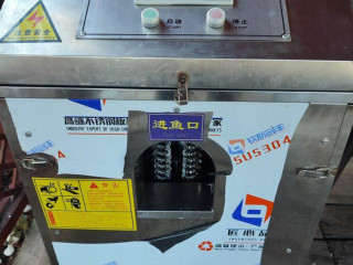 cistic-ryb