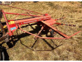 predam-hrabacku-small-2