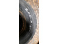 koliecka-small-3