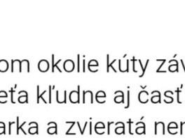 hladam