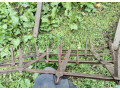 predam-kultivator-za-malotraktor-small-0