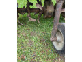 predam-rotavator-ku-freze-agzat-small-3