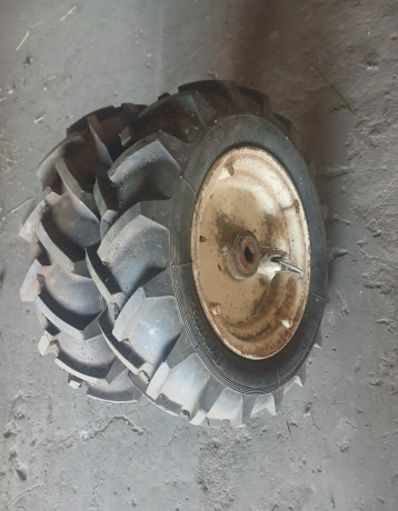 vari-big-1