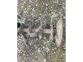 predam-rotavator-za-malotraktor-agzat-small-2