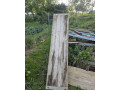 dosky-na-lesenie-graf-small-1