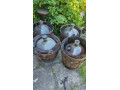predam-50l-demizony-na-vino-small-0