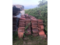 palena-skridla-small-0