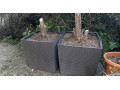 lechuza-cube-50-2x-small-1