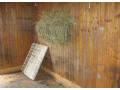 obytna-unimobunka-chliev-kurnik-small-4