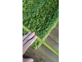 koberceky-small-1